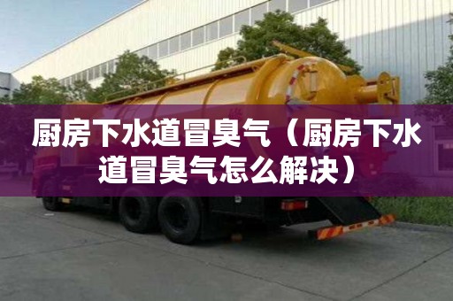 厨房下水道冒臭气（厨房下水道冒臭气怎么解决）