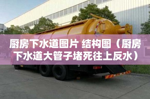 厨房下水道图片 结构图（厨房下水道大管子堵死往上反水）