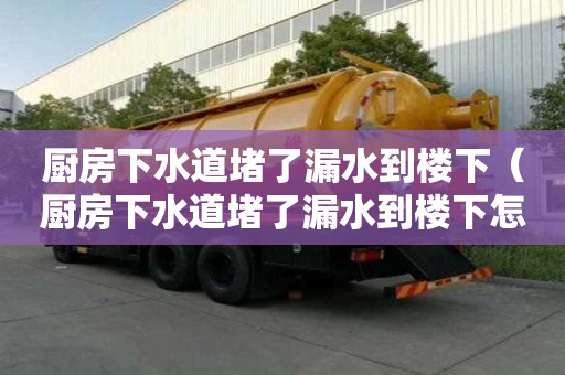 厨房下水道堵了漏水到楼下(厨房下水道堵了漏水到楼下怎么办) 厨房下水道堵了漏水到楼下(厨房下水道堵了漏水到楼下怎么办)
