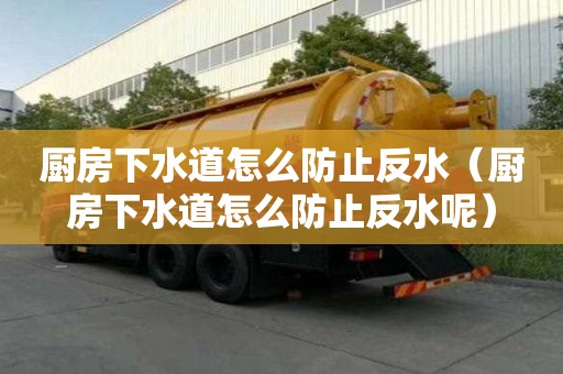 厨房下水道怎么防止反水（厨房下水道怎么防止反水呢）