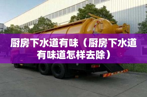 厨房下水道有味（厨房下水道有味道怎样去除）