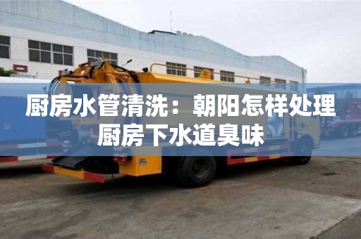 厨房水管清洗：朝阳怎样处理厨房下水道臭味