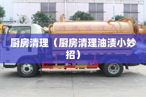 厨房清理（厨房清理油渍小妙招）