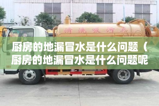 厨房的地漏冒水是什么问题（厨房的地漏冒水是什么问题呢）