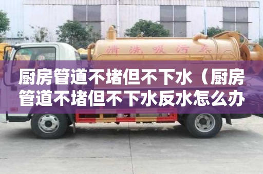 厨房管道不堵但不下水（厨房管道不堵但不下水反水怎么办）