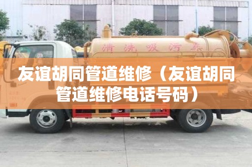 友谊胡同管道维修（友谊胡同管道维修电话号码）