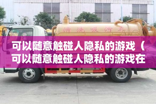 可以随意触碰人隐私的游戏（可以随意触碰人隐私的游戏在线全集观看）
