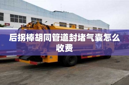 后拐棒胡同管道封堵气囊怎么收费