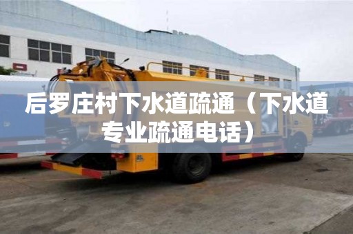 后罗庄村下水道疏通（下水道专业疏通电话）