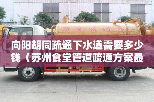 向阳胡同疏通下水道需要多少钱（苏州食堂管道疏通方案最新）