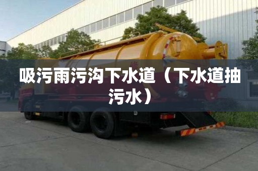 吸污雨污沟下水道(下水道抽污水) 吸污雨污沟下水道(下水道抽污水)