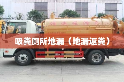 吸粪厕所地漏(地漏返粪) 吸粪厕所地漏(地漏返粪)