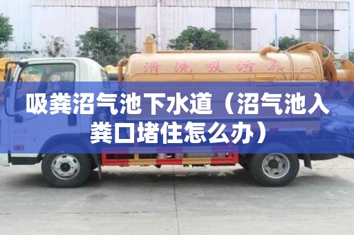 吸粪沼气池下水道（沼气池入粪口堵住怎么办）