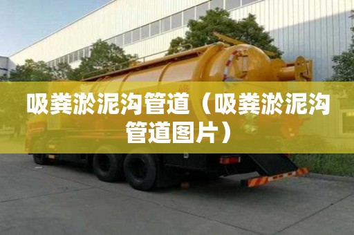 吸粪淤泥沟管道（吸粪淤泥沟管道图片）