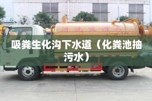 吸粪生化沟下水道(化粪池抽污水) 吸粪生化沟下水道(化粪池抽污水)