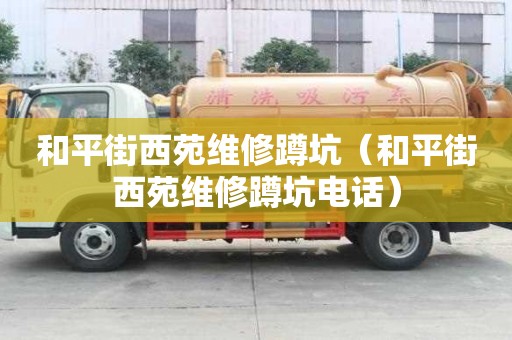 和平街西苑维修蹲坑（和平街西苑维修蹲坑电话）