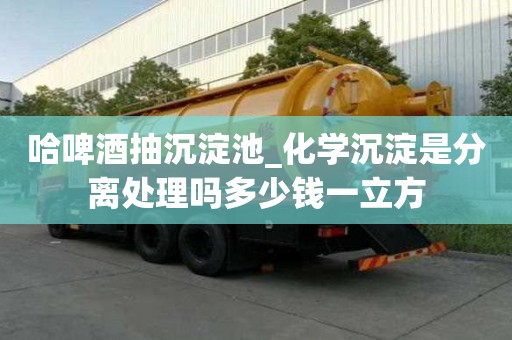 哈啤酒抽沉淀池_化学沉淀是分离处理吗多少钱一立方