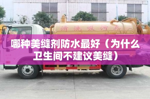 哪种美缝剂防水最好（为什么卫生间不建议美缝）