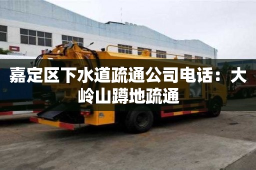 嘉定区下水道疏通公司电话：大岭山蹲地疏通