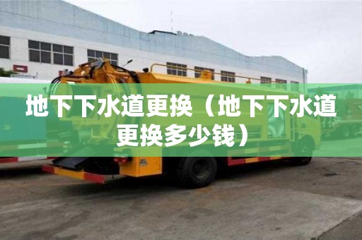 地下下水道更换（地下下水道更换多少钱）
