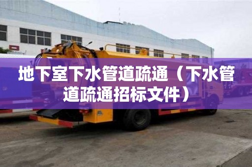 地下室下水管道疏通（下水管道疏通招标文件）