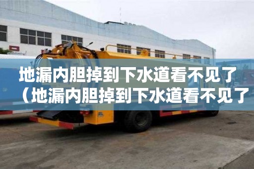 地漏内胆掉到下水道看不见了(地漏内胆掉到下水道看不见了能取出来吗) 地漏内胆掉到下水道看不见了(地漏内胆掉到下水道看不见了能取出来吗)