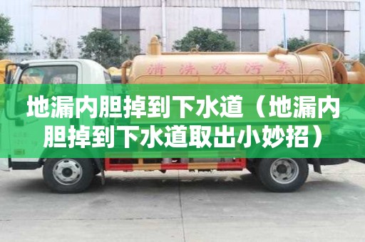 地漏内胆掉到下水道(地漏内胆掉到下水道取出小妙招) 地漏内胆掉到下水道(地漏内胆掉到下水道取出小妙招)