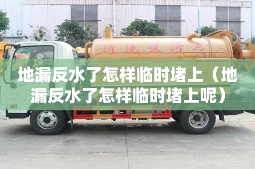 地漏反水了怎样临时堵上（地漏反水了怎样临时堵上呢）