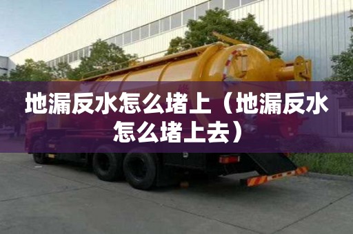 地漏反水怎么堵上（地漏反水怎么堵上去）