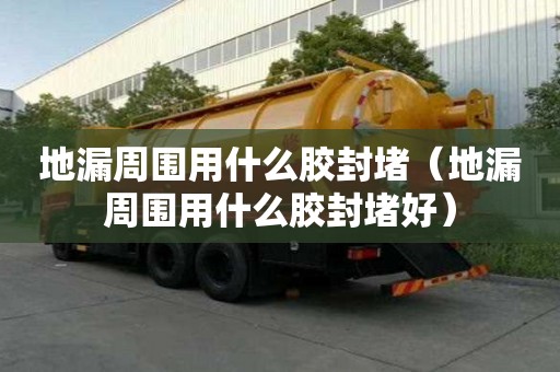 地漏周围用什么胶封堵（地漏周围用什么胶封堵好）