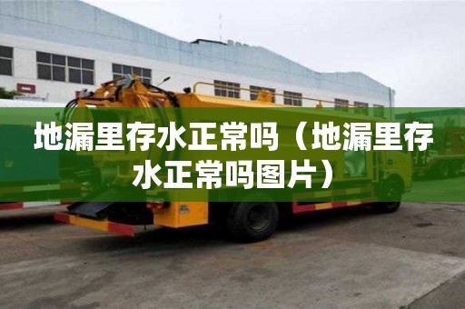 地漏里存水正常吗（地漏里存水正常吗图片）
