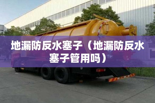 地漏防反水塞子（地漏防反水塞子管用吗）