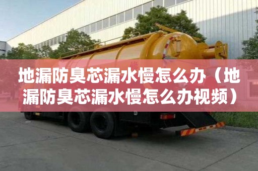 地漏防臭芯漏水慢怎么办(地漏防臭芯漏水慢怎么办视频) 地漏防臭芯漏水慢怎么办(地漏防臭芯漏水慢怎么办视频)