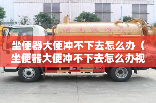 坐便器大便冲不下去怎么办（坐便器大便冲不下去怎么办视频）