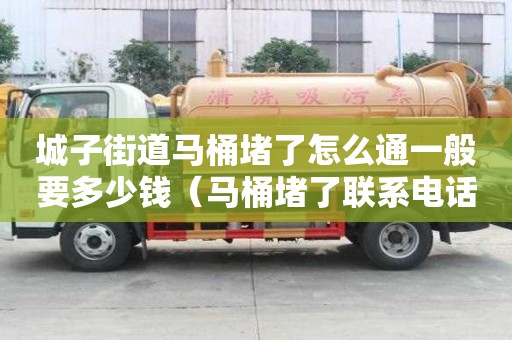 城子街道马桶堵了怎么通一般要多少钱（马桶堵了联系电话）