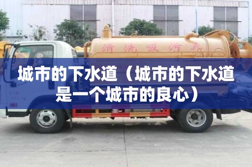 城市的下水道（城市的下水道是一个城市的良心）