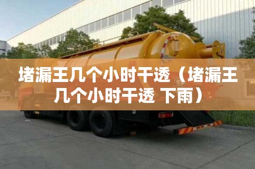 堵漏王几个小时干透（堵漏王几个小时干透 下雨）