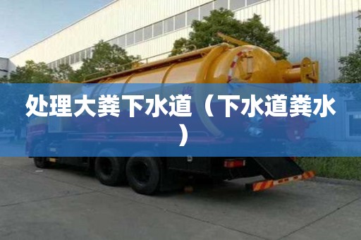 处理大粪下水道（下水道粪水）