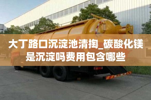 大丁路口沉淀池清掏_碳酸化镁是沉淀吗费用包含哪些