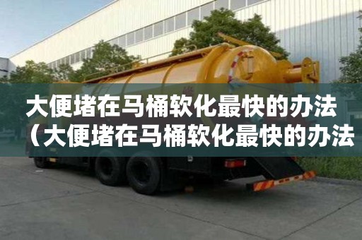 大便堵在马桶软化最快的办法(大便堵在马桶软化最快的办法) 大便堵在马桶软化最快的办法(大便堵在马桶软化最快的办法)