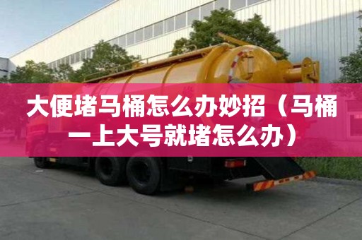 大便堵马桶怎么办妙招（马桶一上大号就堵怎么办）