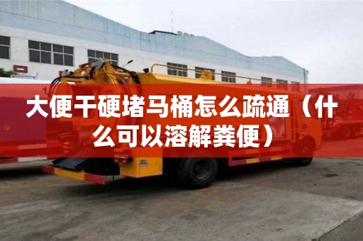 大便干硬堵马桶怎么疏通（什么可以溶解粪便）