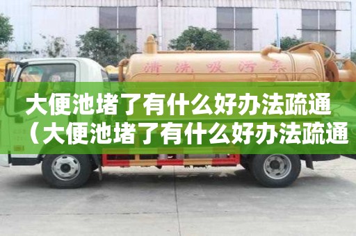 大便池堵了有什么好办法疏通（大便池堵了有什么好办法疏通马桶）