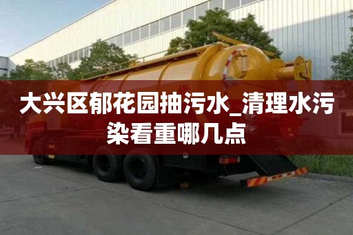 大兴区郁花园抽污水_清理水污染看重哪几点