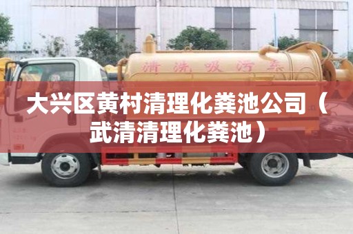 大兴区黄村清理化粪池公司(武清清理化粪池) 大兴区黄村清理化粪池公司(武清清理化粪池)