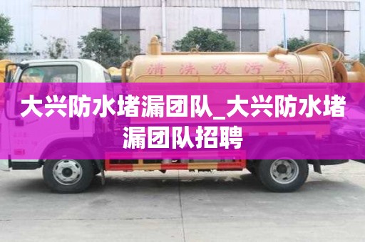大兴防水堵漏团队_大兴防水堵漏团队招聘