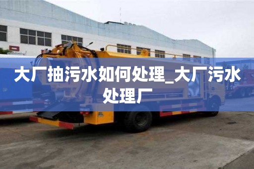 大厂抽污水如何处理_大厂污水处理厂