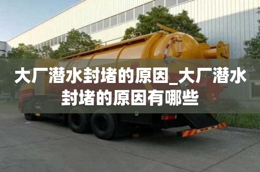 大厂潜水封堵的原因_大厂潜水封堵的原因有哪些