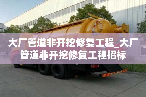大厂管道非开挖修复工程_大厂管道非开挖修复工程招标