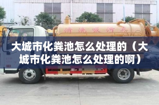 大城市化粪池怎么处理的（大城市化粪池怎么处理的啊）